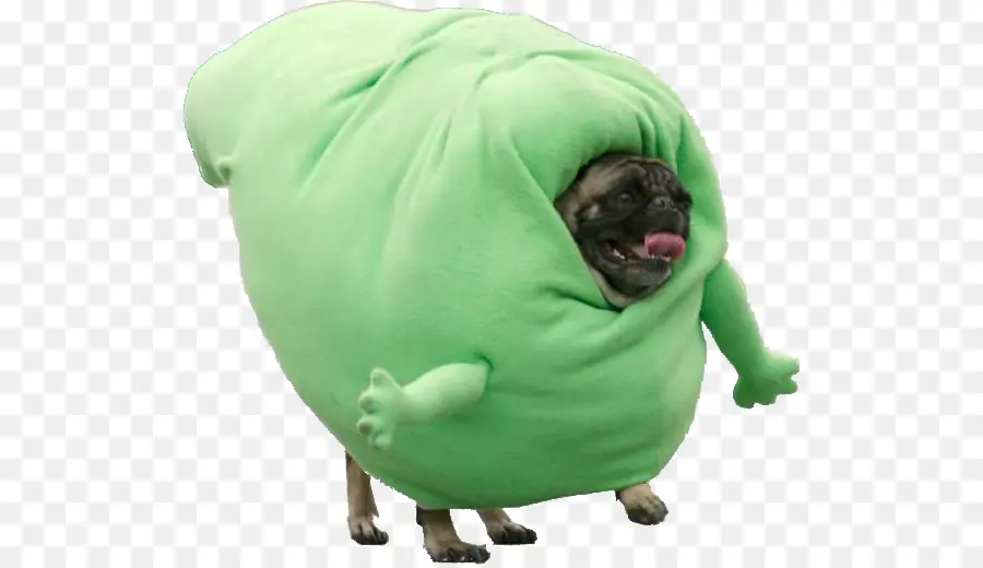 Fantasia De Cachorro，Pug PNG