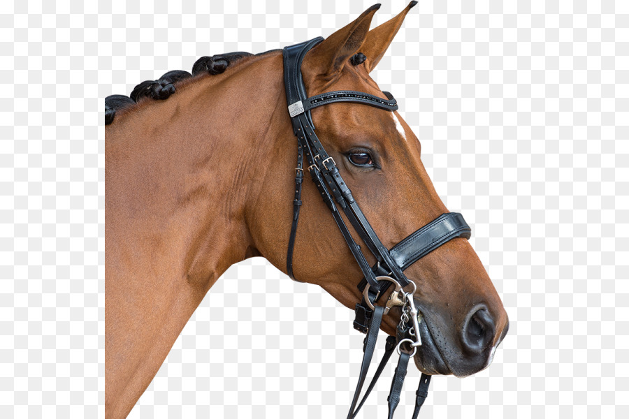 Cavalo，Equino PNG