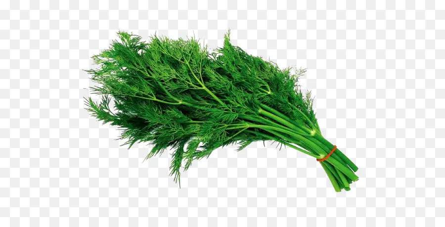 Dill，руки PNG