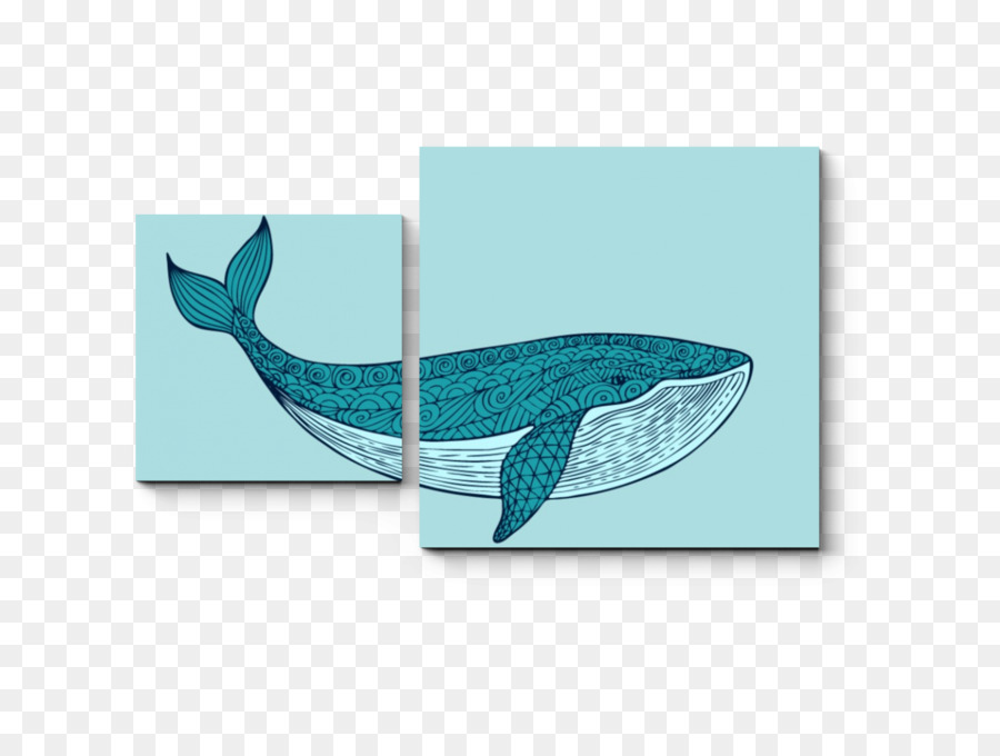 Dolphin，Cetacea PNG