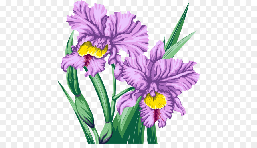 Flores De Corte，Flor PNG