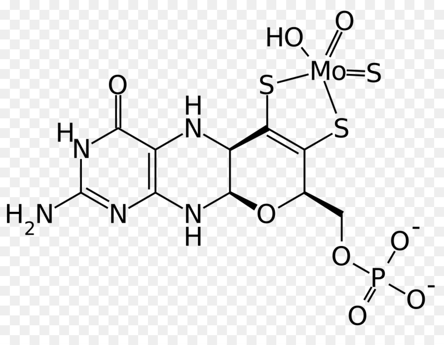 Tirosina Hydroxylase，Química PNG