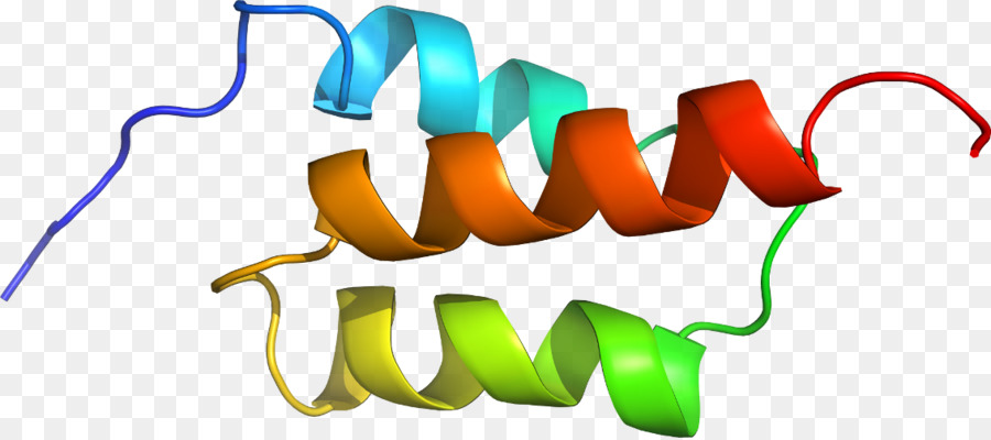 Hélice De Proteína，Molécula PNG