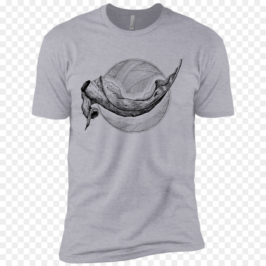 Tshirt，Capuz PNG