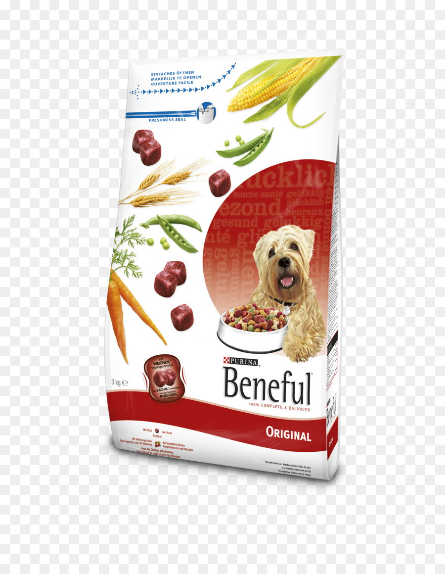 Cão，Comida De Cachorro PNG