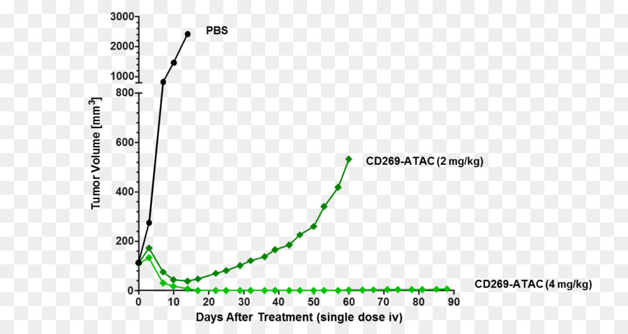 Antibodydrug Conjugado，Wilex Ag PNG