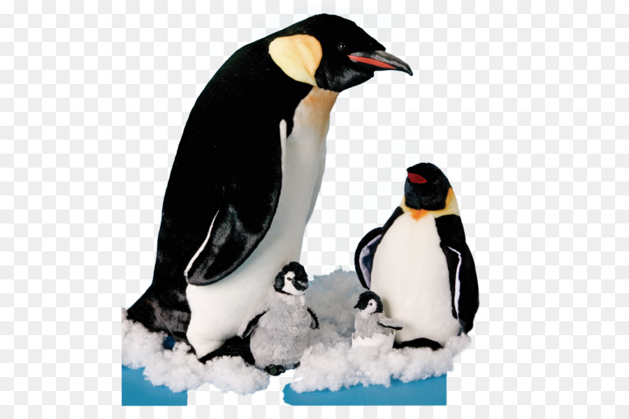 Pinguins，Pássaro PNG