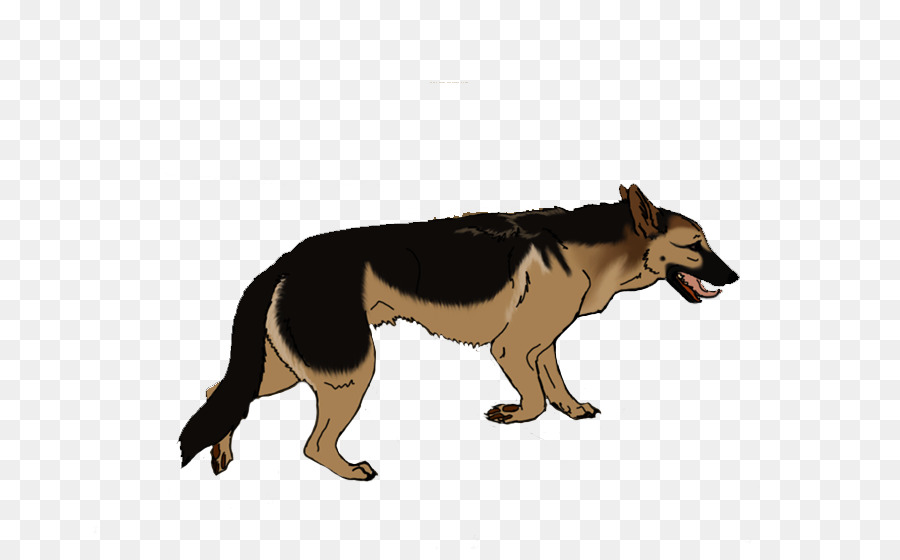 Lobo，Canino PNG