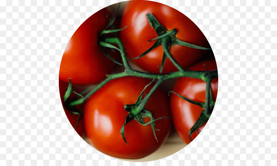 Chutney，Roma Tomate PNG