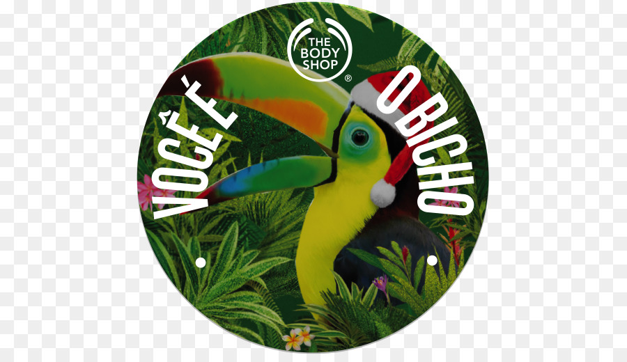 Body Shop，Bico PNG