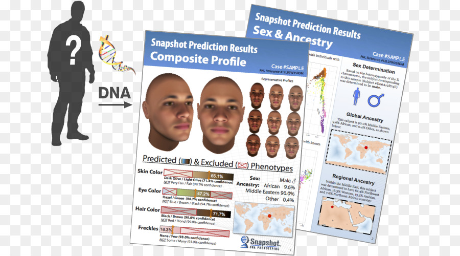 Dna Phenotyping，Polícia PNG