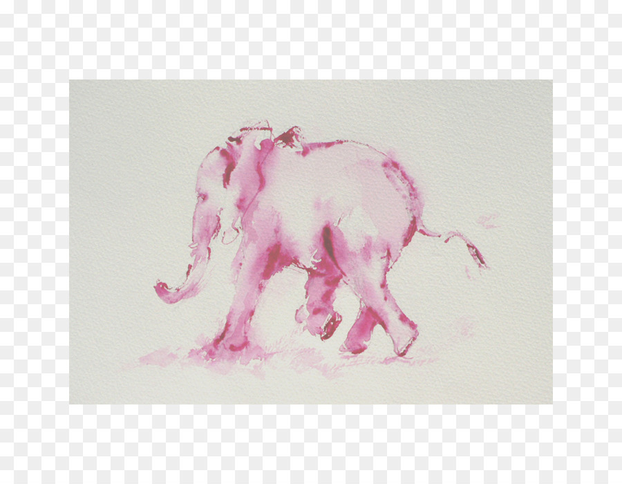 Elefante Rosa，Aquarela PNG