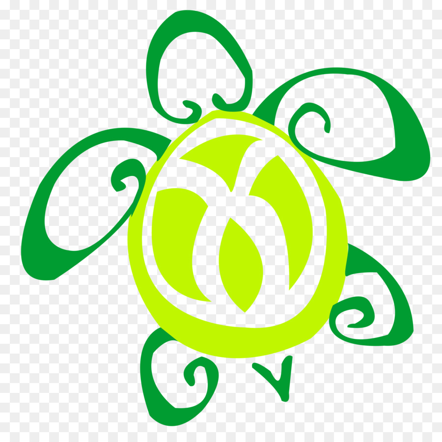 Tartaruga Verde，Desenho PNG