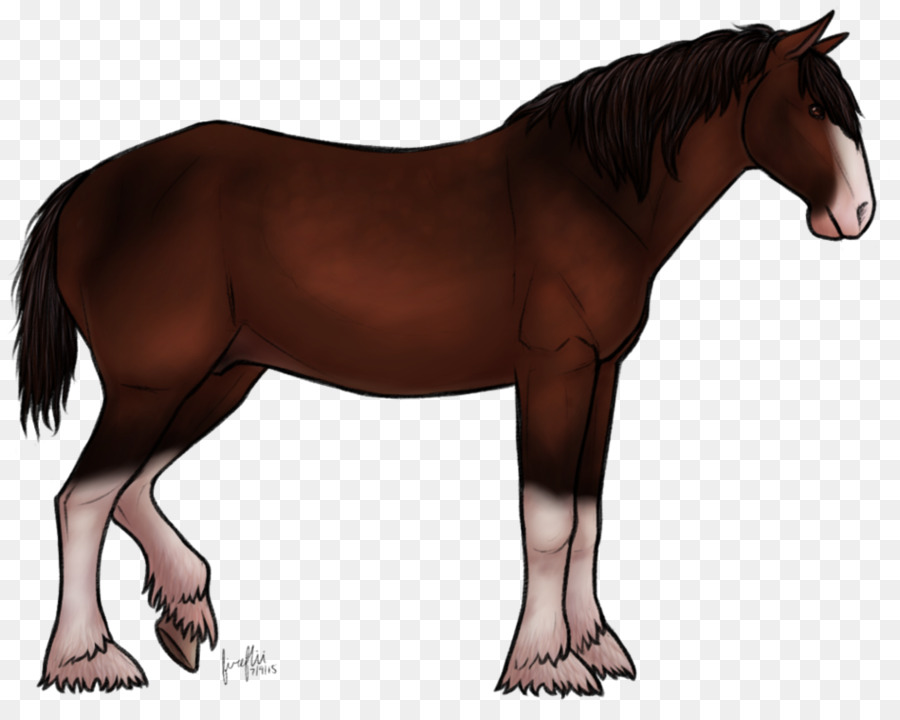 Mane，A Shire Cavalo PNG