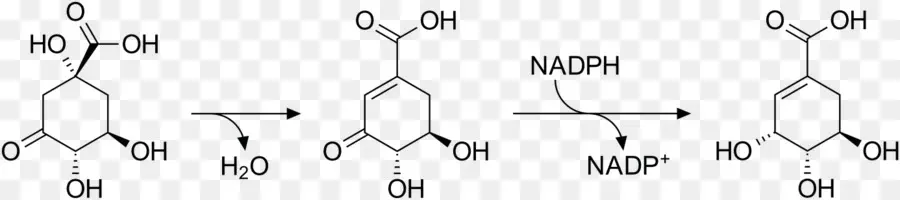 Reação Química，Molécula PNG