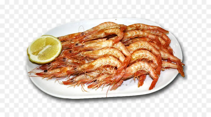 Prawns，Caridea PNG