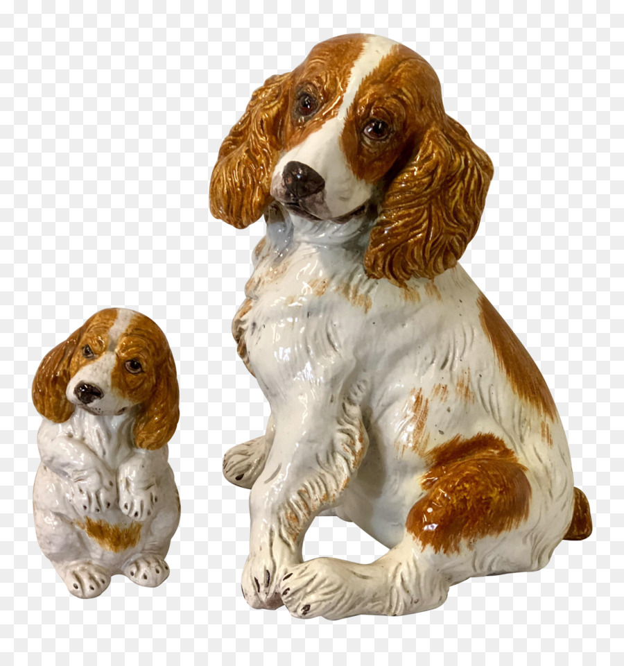 Welsh Springer Spaniel，Springer Spaniel Inglês PNG