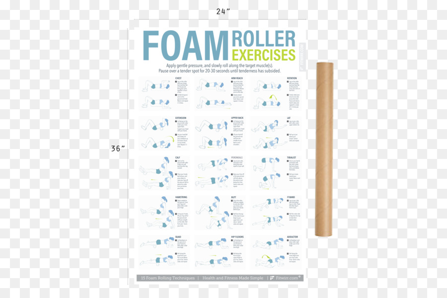 Pôster De Exercícios Com Rolo De Espuma，Fitness PNG