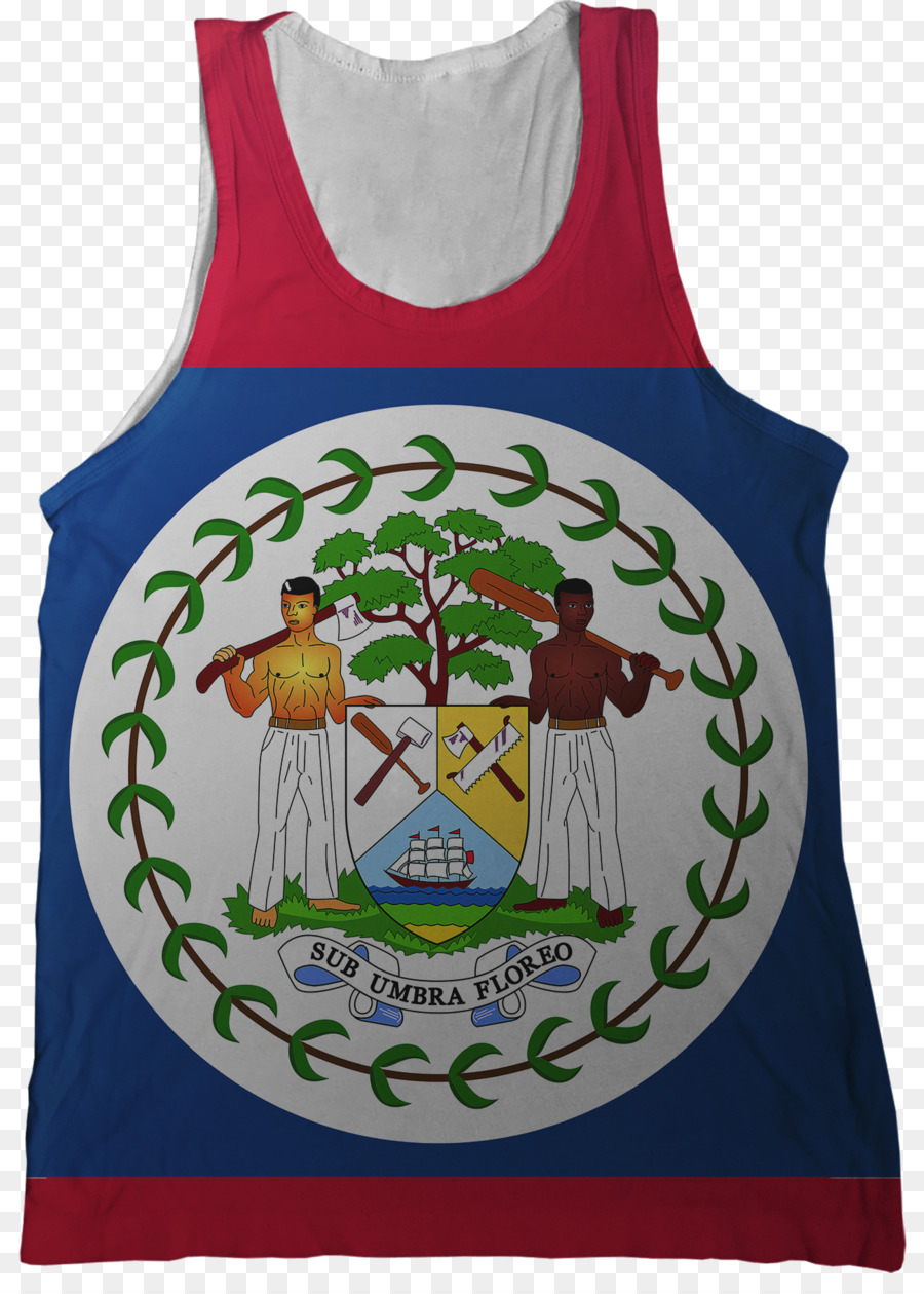Bandeira De Belize，Bandeira PNG