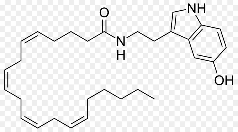 Estrutura Química，Molécula PNG