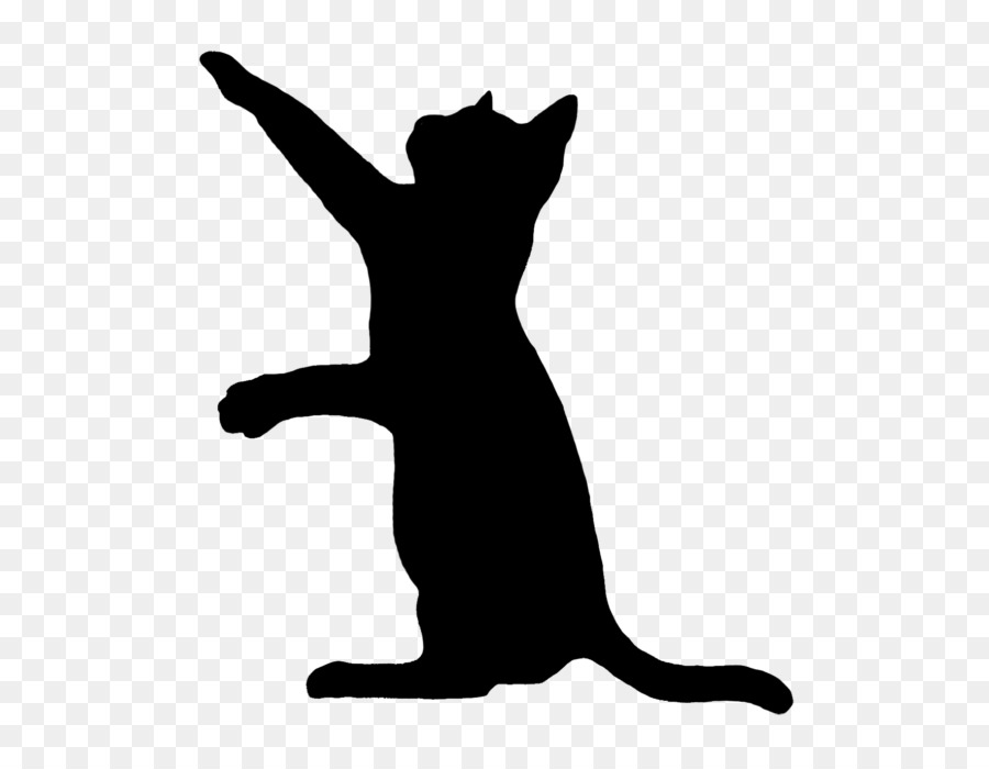 Gato preto silhueta gatinho desenho, gato, amor, animais, folha png