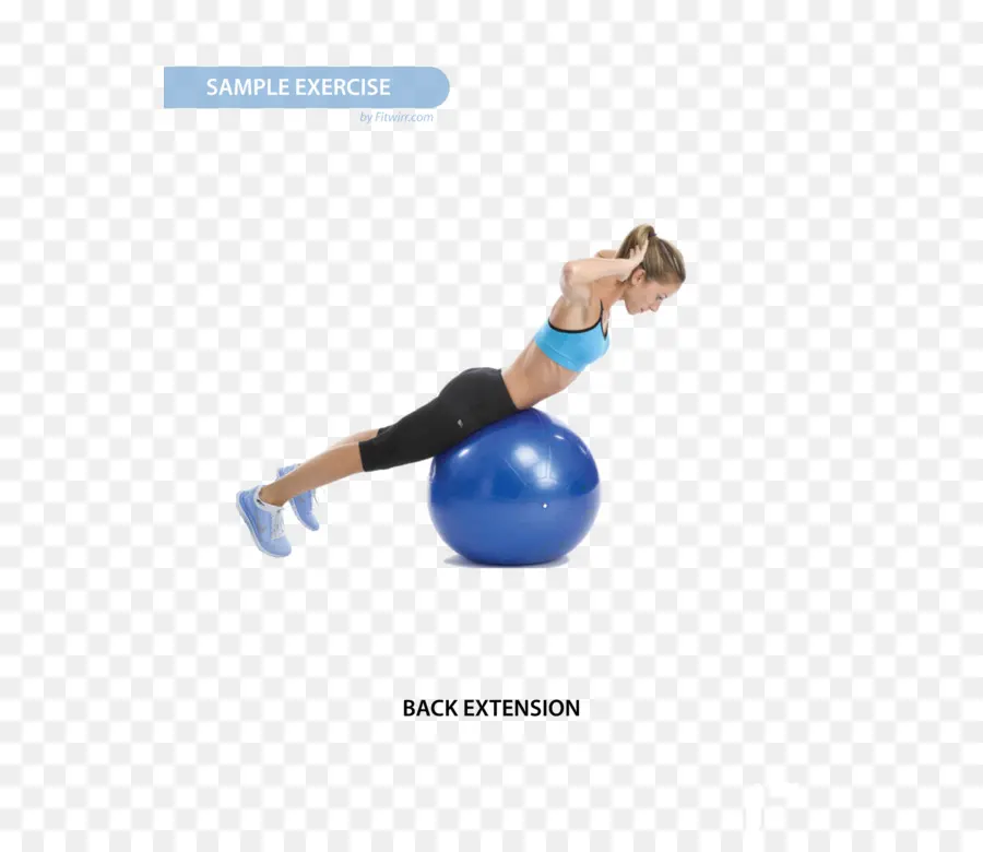 Exercício De Extensão Traseira，Fitness PNG