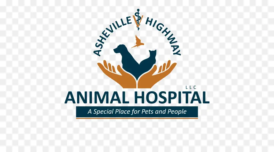 Hospital De Animais，Animais De Estimação PNG