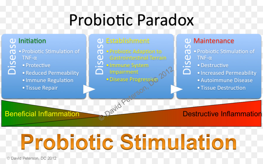 Probióticos，Yakult PNG