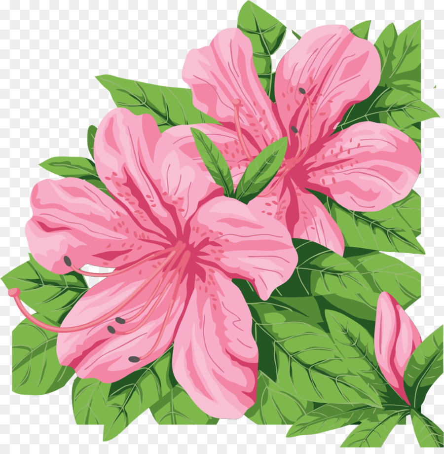 Flores Cor De Rosa，Folhas Verdes PNG