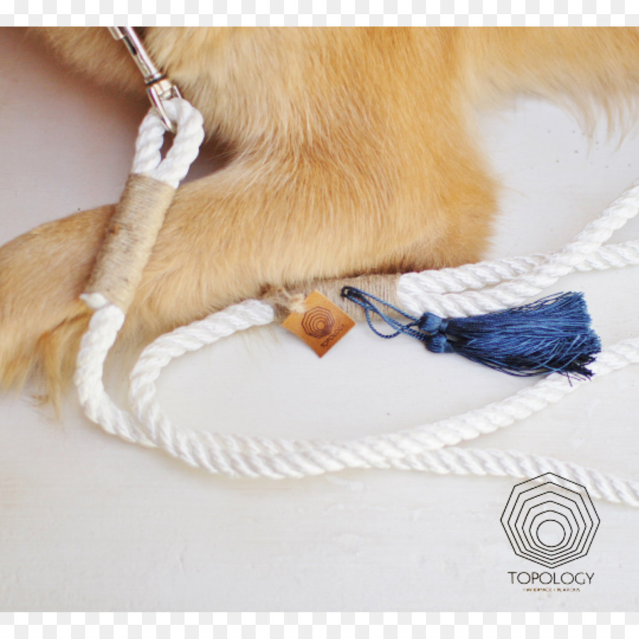 Cão，Leash PNG