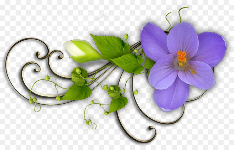 Flores De Amor Perfeito，Florescer PNG