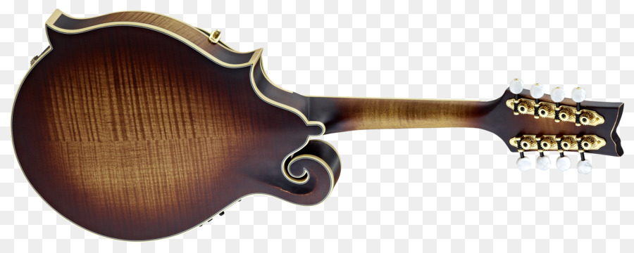 Acousticelectric Guitarra，Bandolim PNG