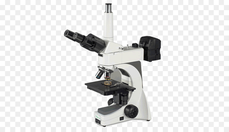 Microscópio，Microscópio óptico PNG