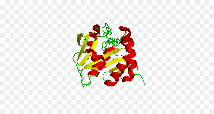 Acetyltransferase，Aralkylamine Nacetyltransferase PNG