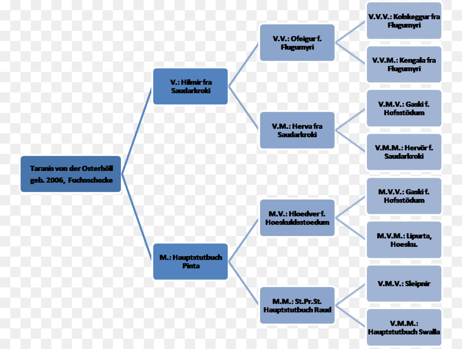 Árvore Genealógica，Genealogia PNG