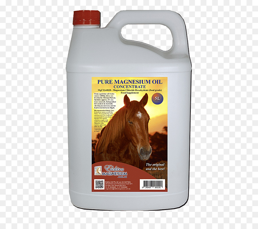 Cavalo，Suplemento Alimentar PNG