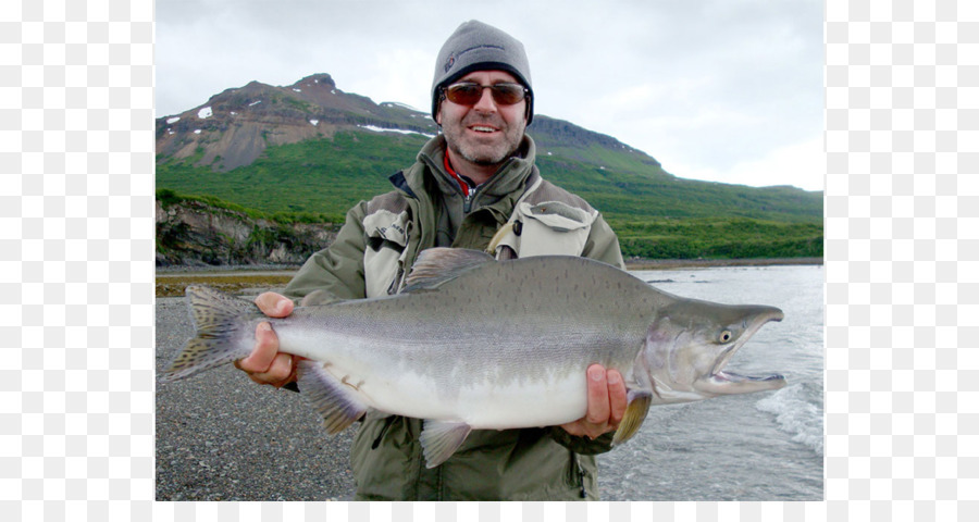 Salmão Coho，Pesca Recreativa PNG