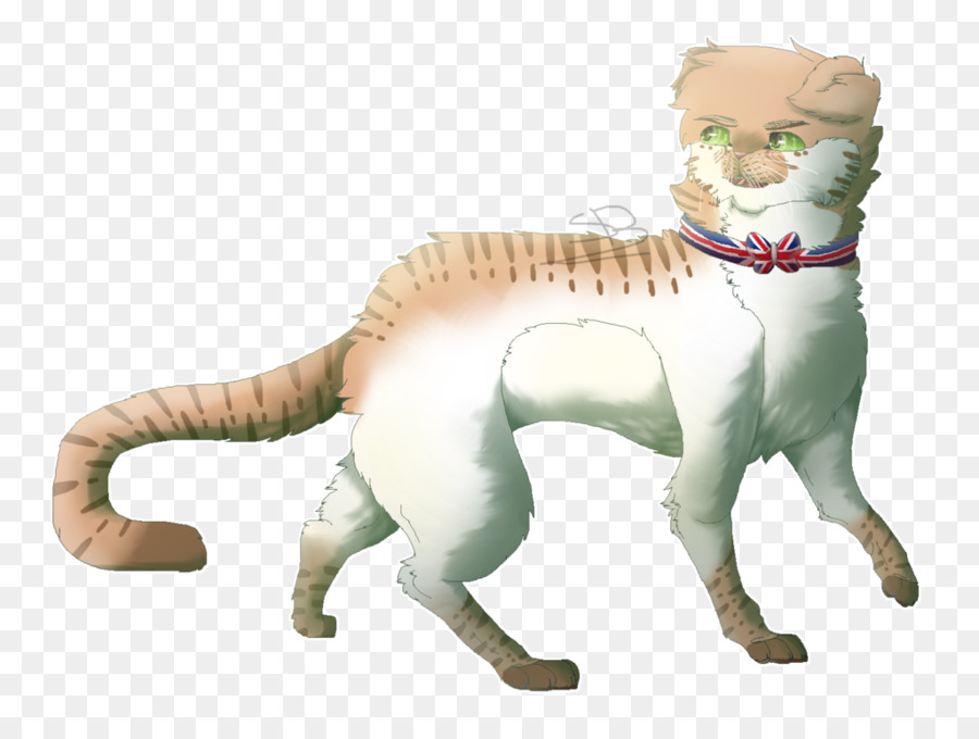 Gato，Dos Animais Terrestres PNG