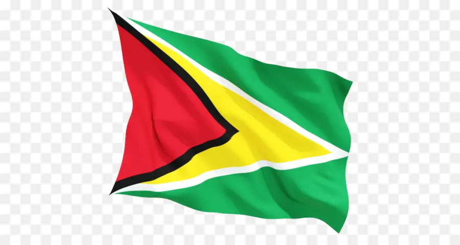 Bandeira Da Tanzânia，Verde PNG