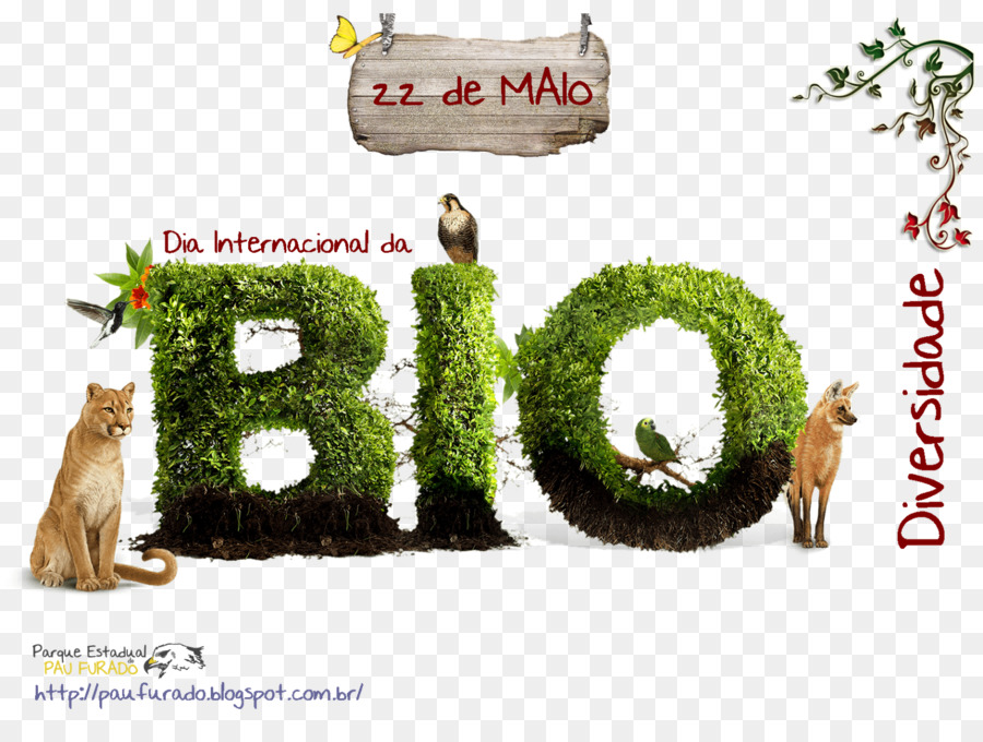 Biodiversidade，Dia Internacional Para A Diversidade Biológica PNG