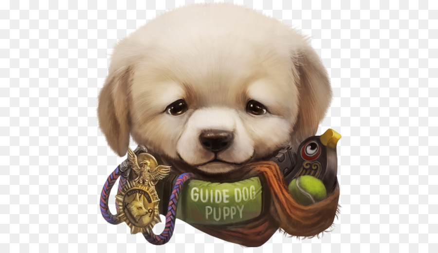 Golden Retriever，Filhote De Cachorro PNG