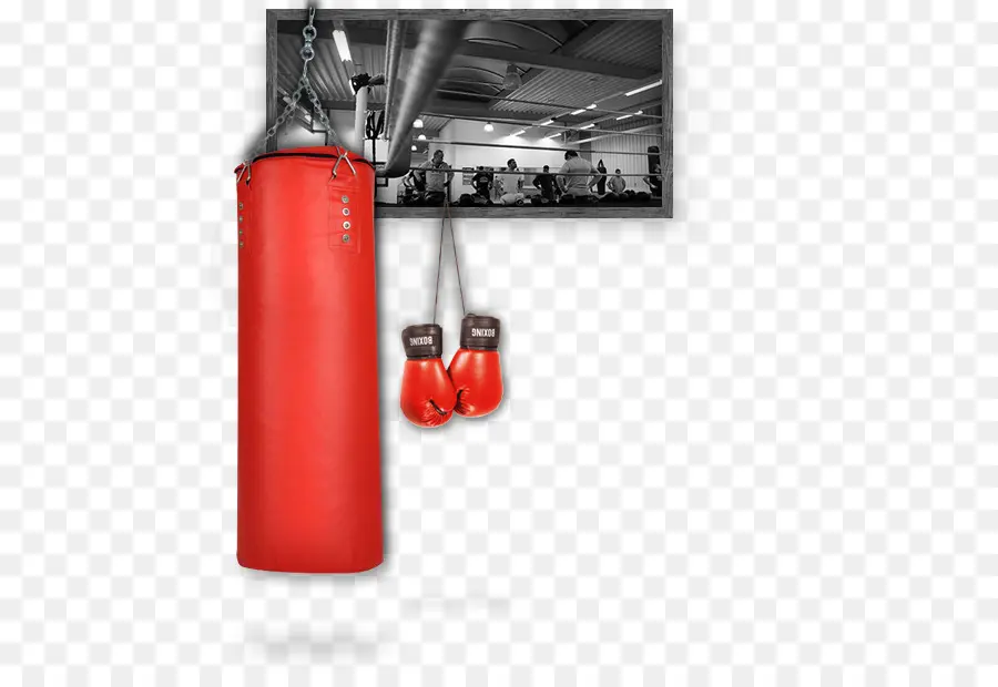 Equipamento De Boxe，Saco De Pancadas PNG