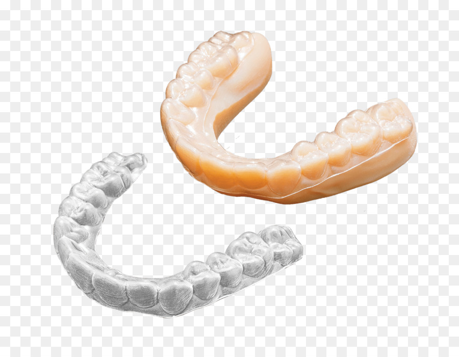 Mandíbula，Dente PNG