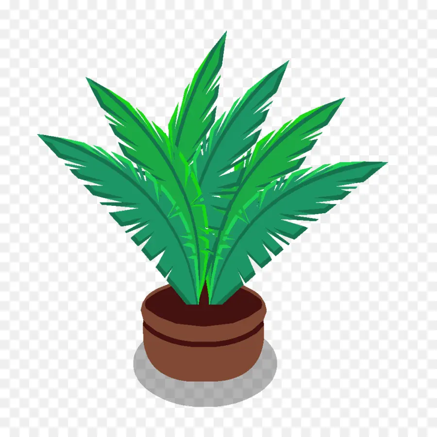 Arecaceae，Planta PNG