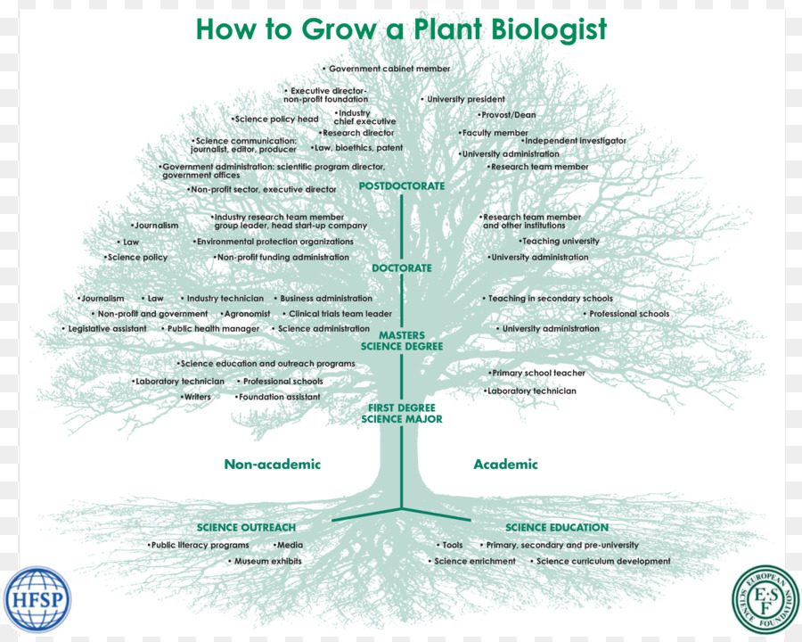 Biologia，Botânica PNG