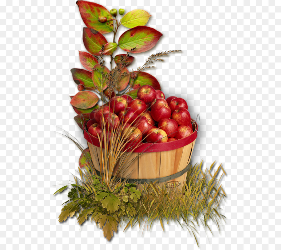 Cesta De Maçãs，Fruta PNG