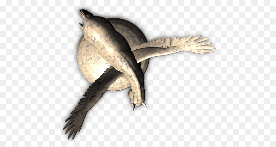 Bico，Aves PNG