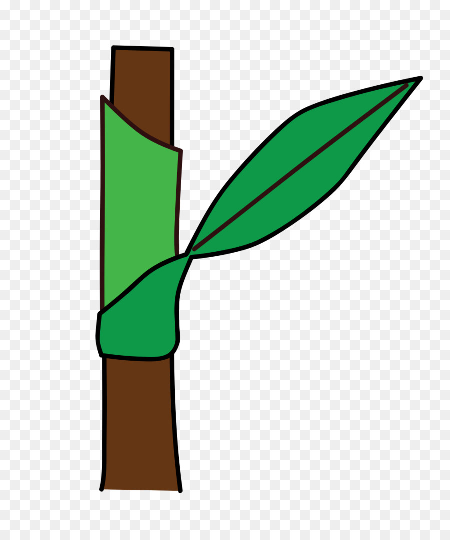 Caule Da Planta，Folha PNG