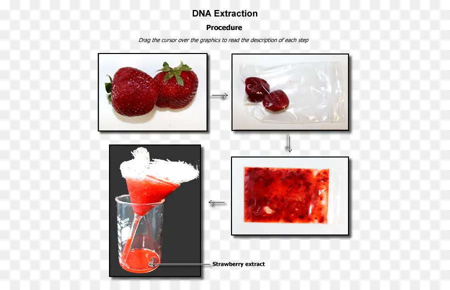 Extração De Dna，Morango PNG