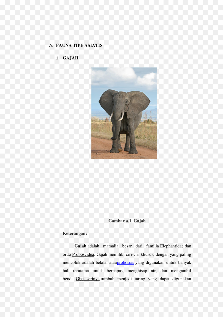 Elefante Indiano，Elefante Africano PNG